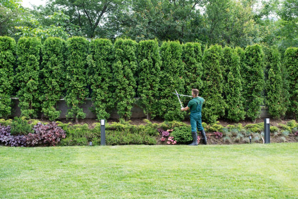 Best Tree Preservation Services  in Sawgrass, FL