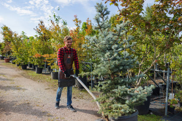 Best Tree and Shrub Care  in Sawgrass, FL